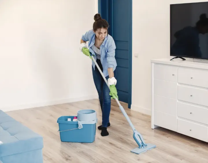 Femme de ménage La Chambre